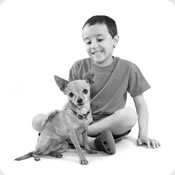 Dog Safe: Kids Workshop